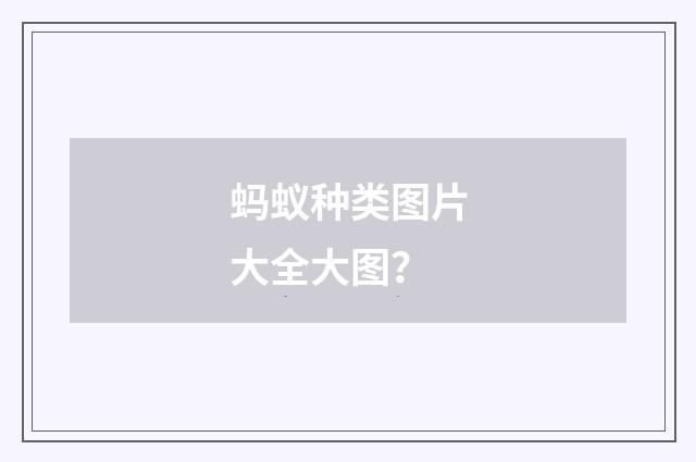 蚂蚁种类图片大全大图？