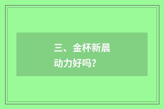 三、金杯新晨动力好吗？