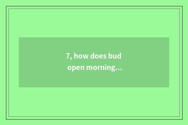 7, how does bud open morning island newly?