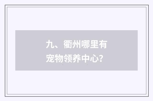 九、衢州哪里有宠物领养中心？
