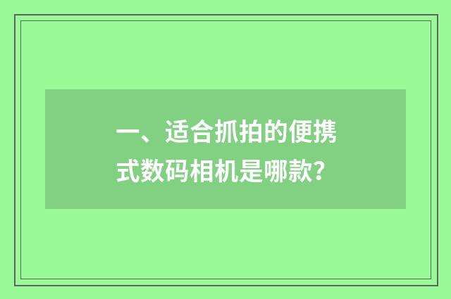 一、适合抓拍的便携式数码相机是哪款？