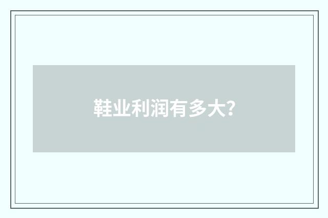 鞋业利润有多大？
