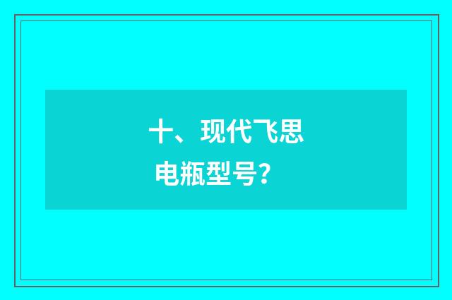 十、现代飞思 电瓶型号？