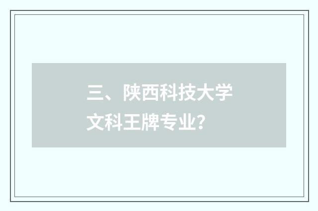 三、陕西科技大学文科王牌专业？