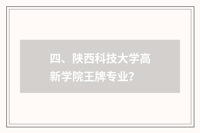 四、陕西科技大学高新学院王牌专业？