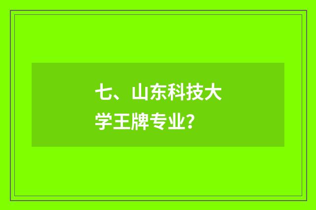 七、山东科技大学王牌专业？