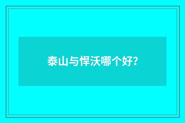 泰山与悍沃哪个好？