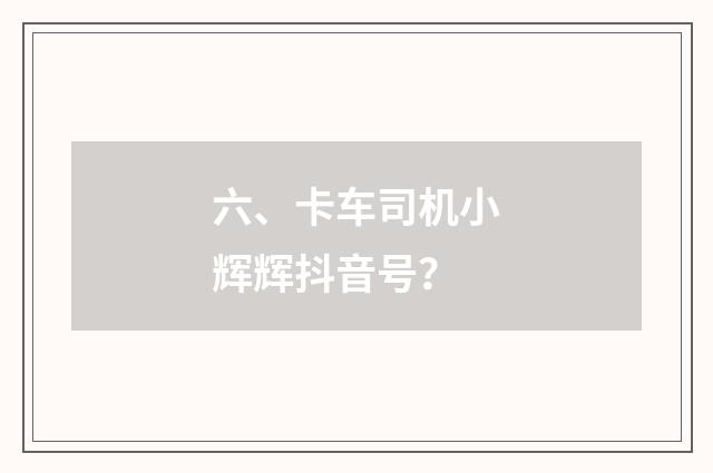 六、卡车司机小辉辉抖音号?