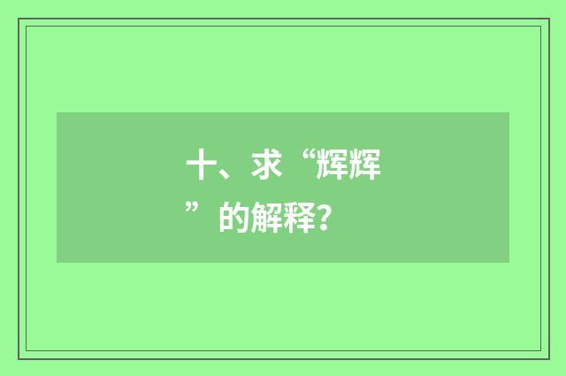 十、求“辉辉”的解释？