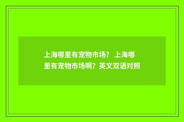 上海哪里有宠物市场？ 上海哪里有宠物市场啊？英文双语对照