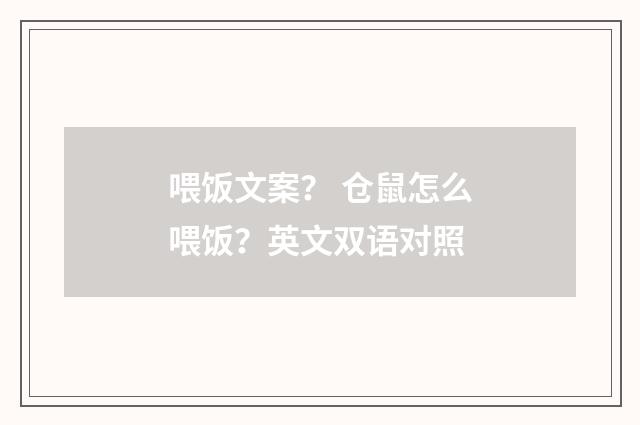 喂饭文案？ 仓鼠怎么喂饭？英文双语对照