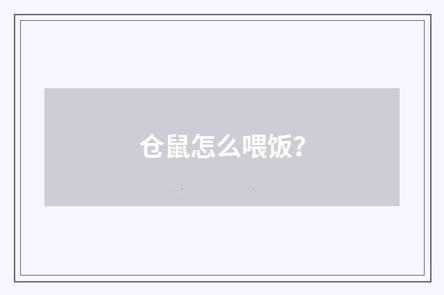 仓鼠怎么喂饭？