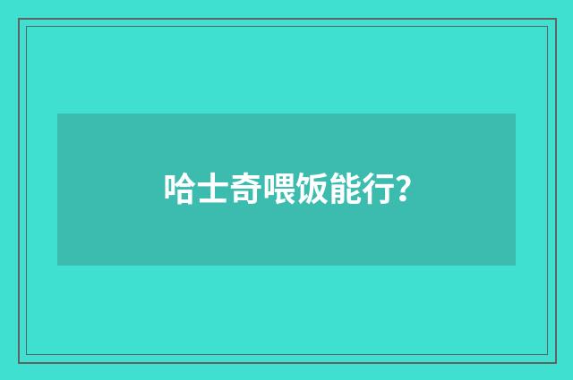 哈士奇喂饭能行？