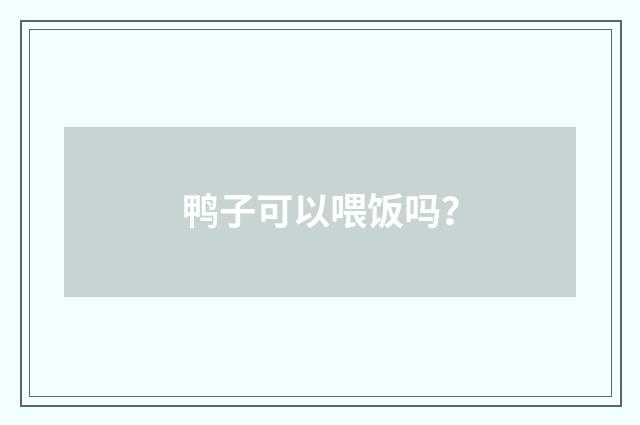 鸭子可以喂饭吗？
