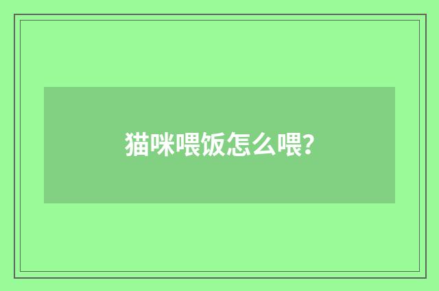 猫咪喂饭怎么喂？