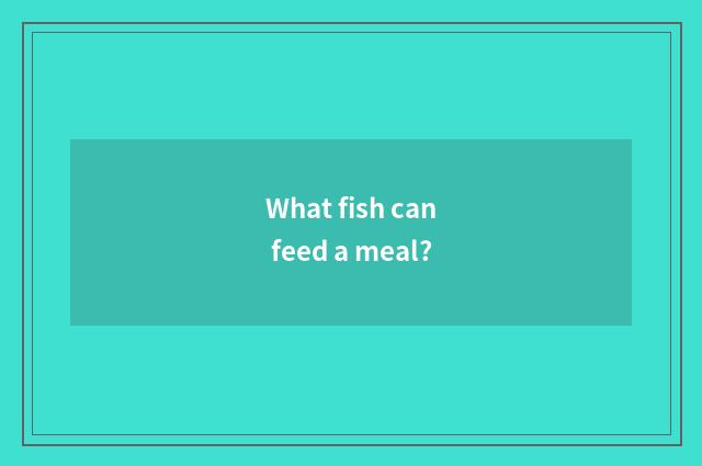 What fish can feed a meal?