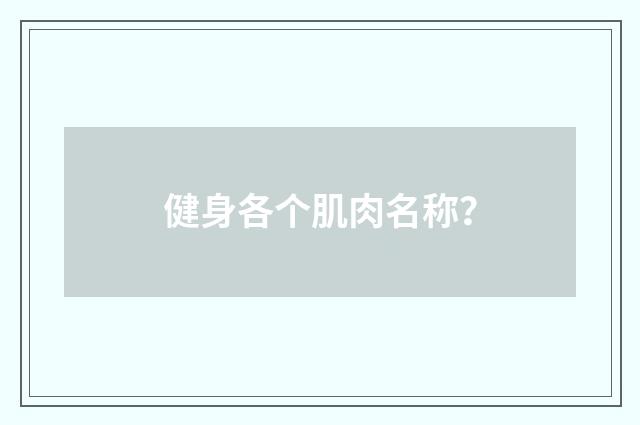 健身各个肌肉名称？