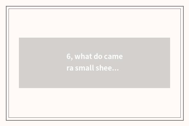6, what do camera small sheet and digital camera have to distinguish?