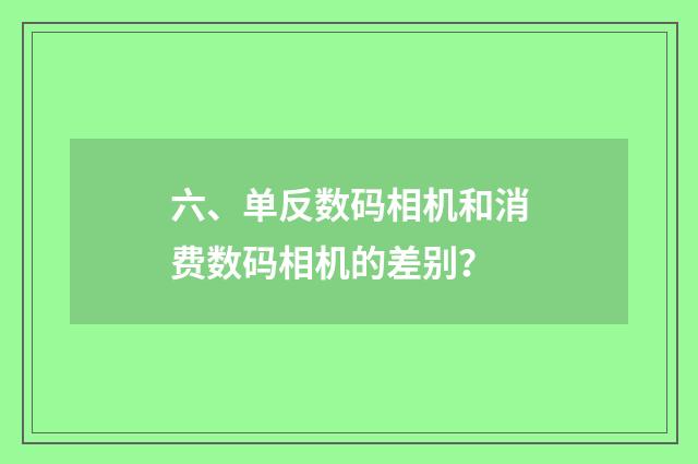 六、单反数码相机和消费数码相机的差别？