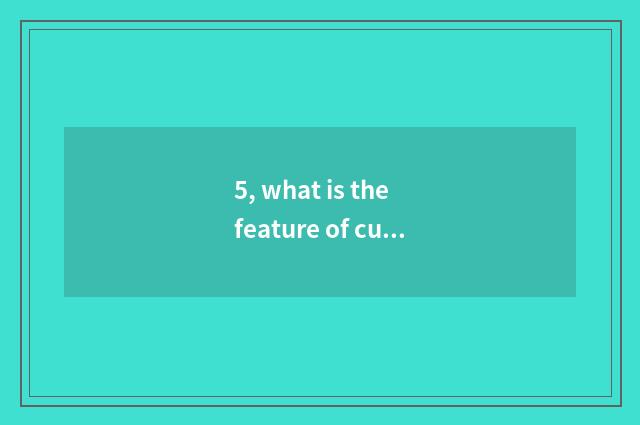 5, what is the feature of culture of company of urban orbit transportation?