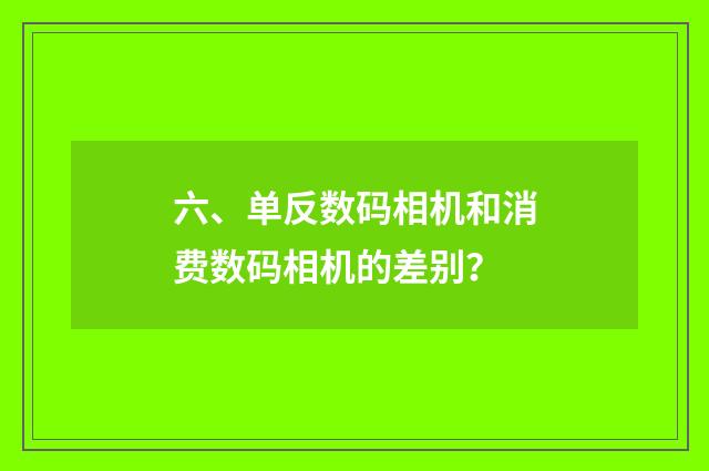六、单反数码相机和消费数码相机的差别？
