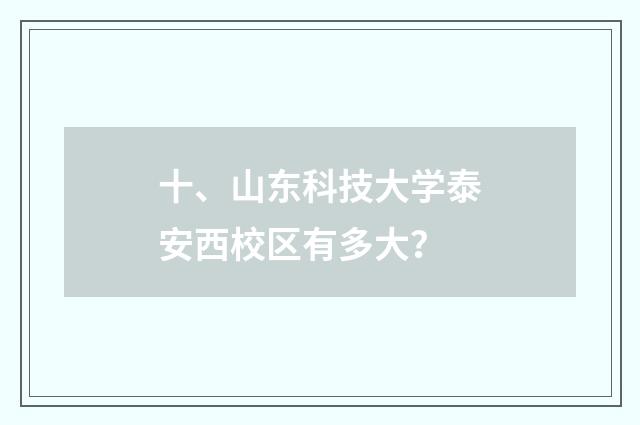 十、山东科技大学泰安西校区有多大？