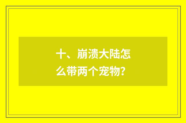 十、崩溃大陆怎么带两个宠物？