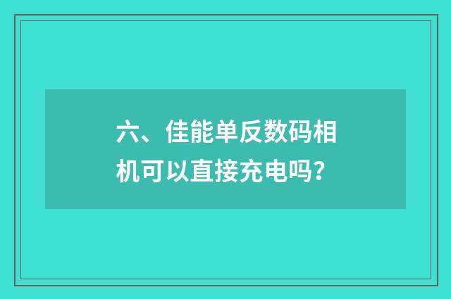 六、佳能单反数码相机可以直接充电吗？