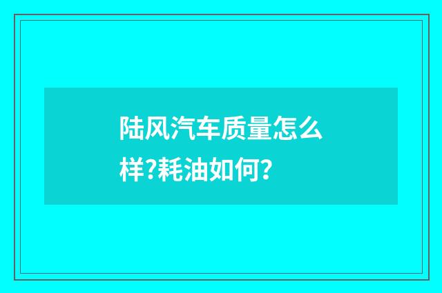 陆风汽车质量怎么样?耗油如何？