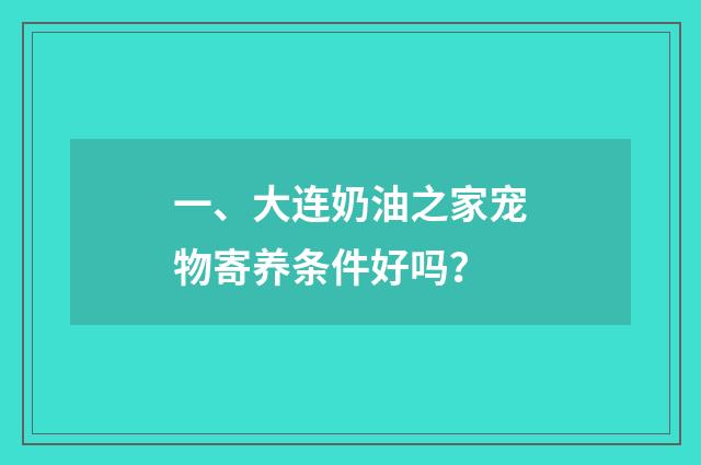 一、大连奶油之家宠物寄养条件好吗？