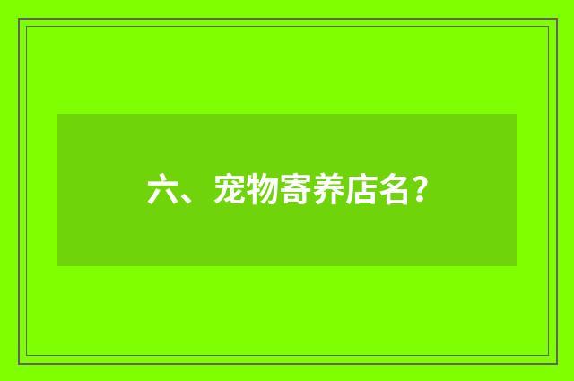 六、宠物寄养店名？