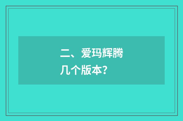 二、爱玛辉腾几个版本？