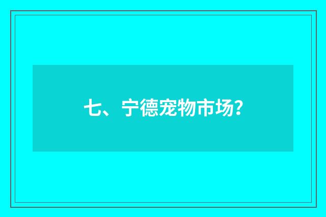 七、宁德宠物市场?