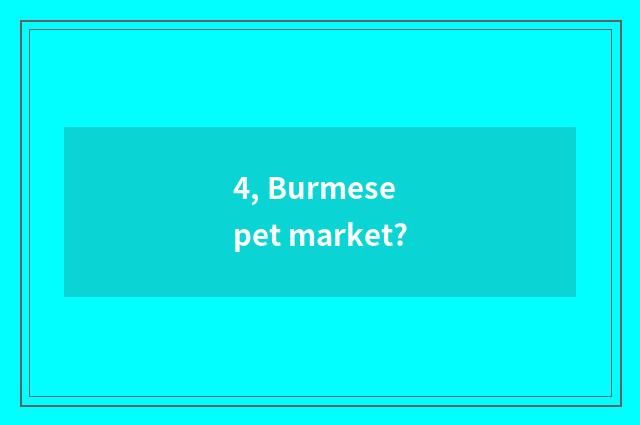 4, Burmese pet market?
