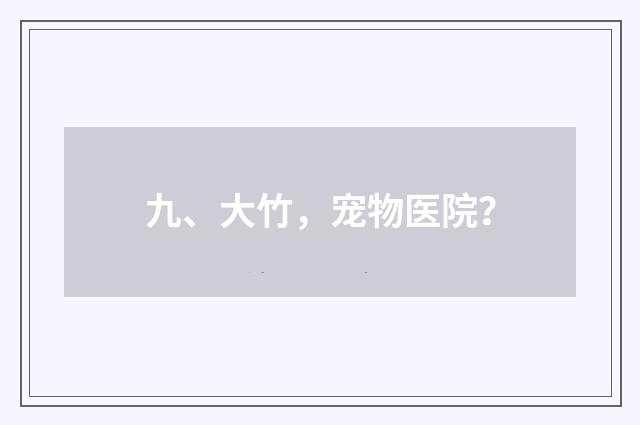 九、大竹，宠物医院？