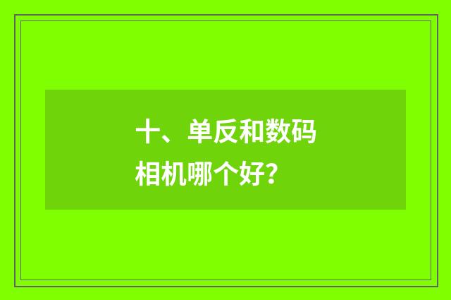 十、单反和数码相机哪个好？