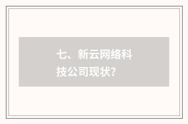 七、新云网络科技公司现状？