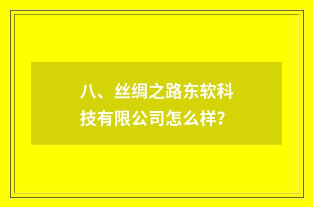 八、丝绸之路东软科技有限公司怎么样？
