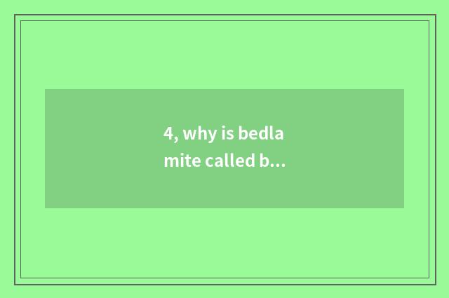 4, why is bedlamite called bedlamite?