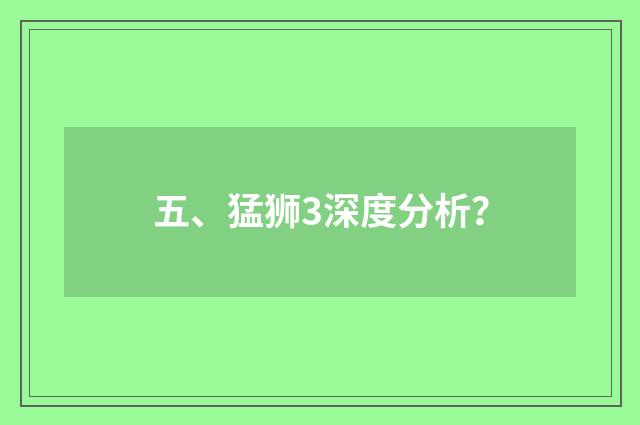 五、猛狮3深度分析？