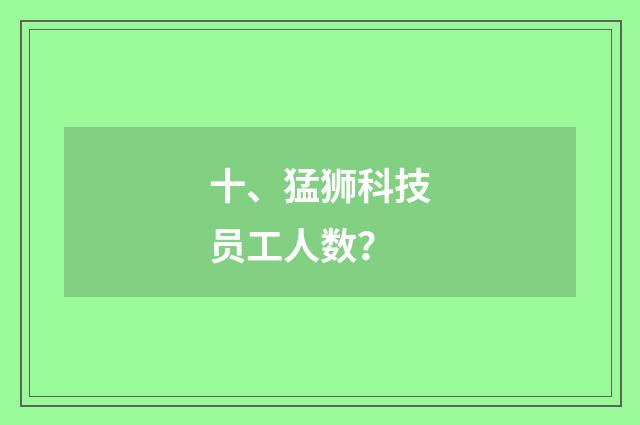 十、猛狮科技员工人数？
