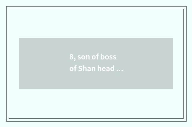 8, son of boss of Shan head fierce lion?