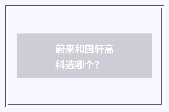 蔚来和国轩高科选哪个？