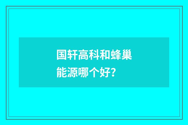 国轩高科和蜂巢能源哪个好？