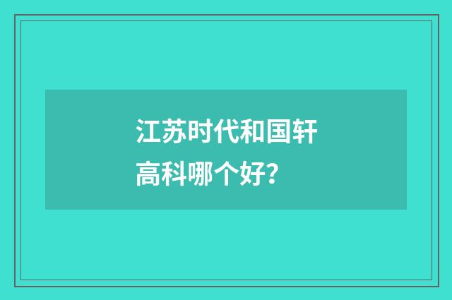 江苏时代和国轩高科哪个好？