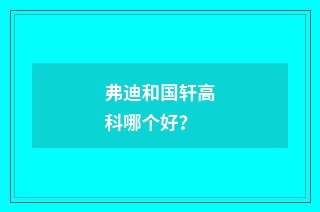 弗迪和国轩高科哪个好？