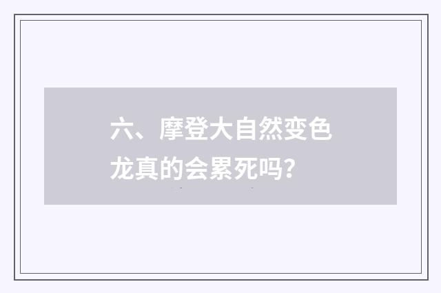 六、摩登大自然变色龙真的会累死吗？