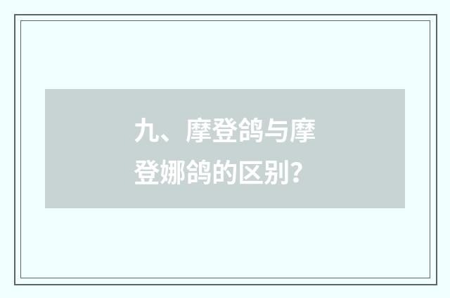 九、摩登鸽与摩登娜鸽的区别?
