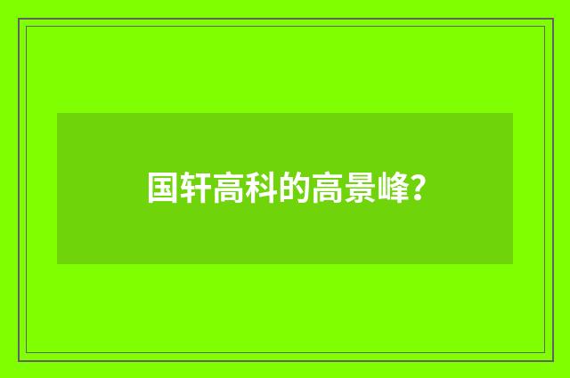 国轩高科的高景峰？