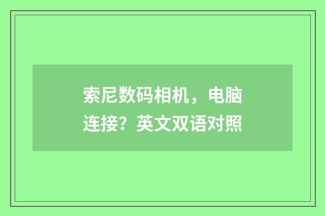 索尼数码相机，电脑连接？英文双语对照